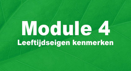 Module 4