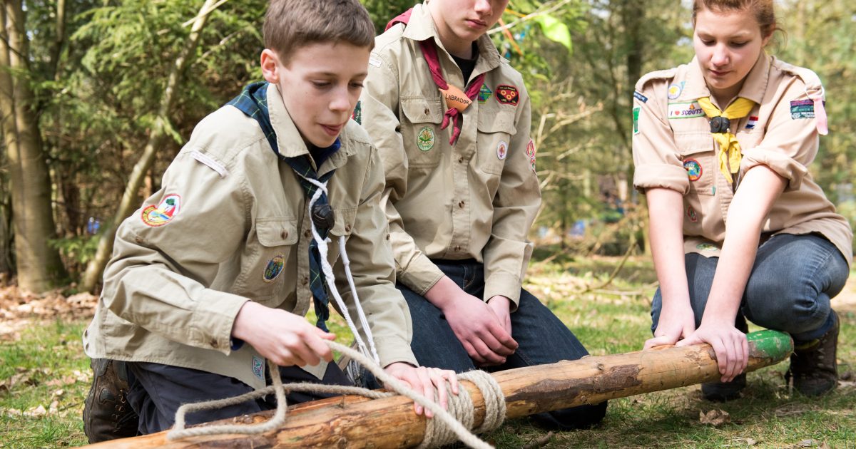 Word jij de nieuwe vicevoorzitter van Scouting Nederland? - Scouting